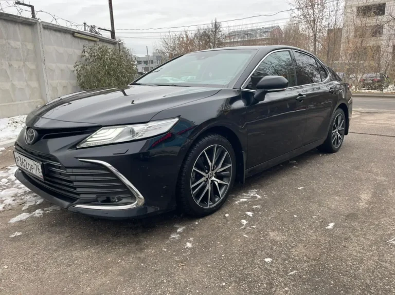 Бизнес трансфер